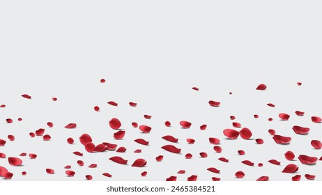 Floating red rose petal isolated on white. Background concept for love greetings on valentines day and mothers day. Space for text. rose for love Beautiful floral