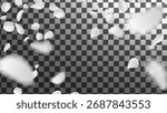floating white flower petals with soft realistic shadows and motion blur petals are scattering across the frame design Ideas for product packaging or digital greeting cards