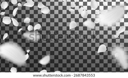 floating white flower petals with soft realistic shadows and motion blur petals are scattering across the frame design Ideas for product packaging or digital greeting cards