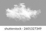 Floating White Smoke Cloud on Transparent Background – Vector Effect