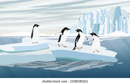 A flock of Adelie Penguin stands on a large ice floe. Penguins jump into the ocean. Birds of the South Field. realistic animals