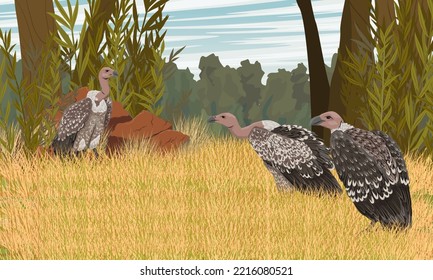 A flock of African vultures in the savannah. African savanna with dry grass and tropical vegetation. Wild carrion birds. Realistic vector landscape