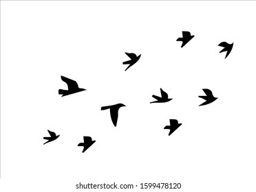 flock bird  design vector hand drawn