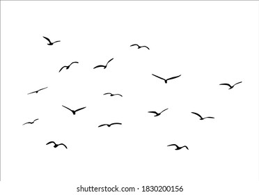 flock of bird hand drawn design vector