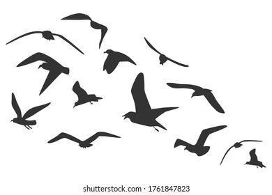 Flock of bird migration in flying vector black silhouettes isolated on white background.