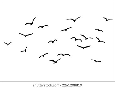 flock bird set hand drawn design