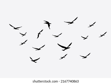 flock bird vector design hand drawn design