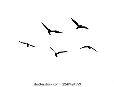 flock of bird bird vector design hand drawn