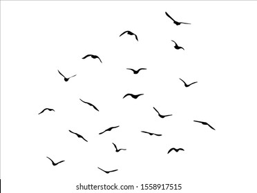 flock bird vectoral design hand drawn