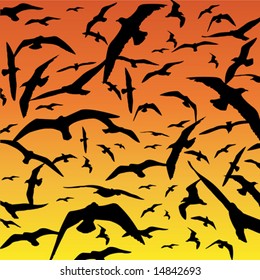 Flock of Birds