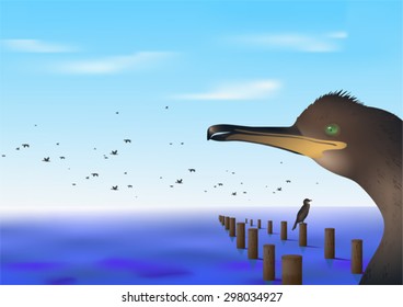 Flock of birds