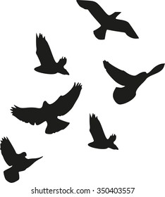 Flock of birds