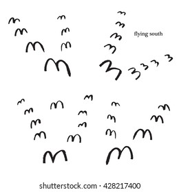 flock of birds