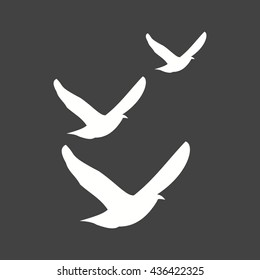 Flock of Birds