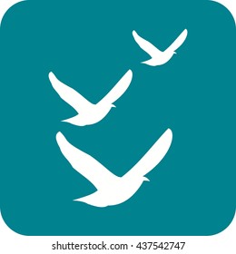 Flock of Birds