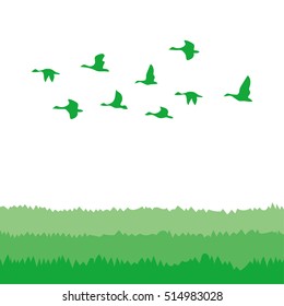 Flock of birds