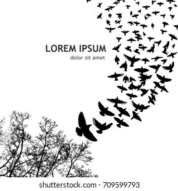 Flock of birds abstraction. Vector