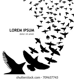 Flock of birds abstraction. Vector