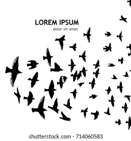 Flock of birds abstraction. Vector