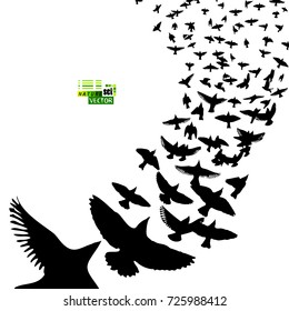 Flock of birds abstraction. Vector
