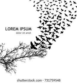 Flock of birds abstraction. Vector