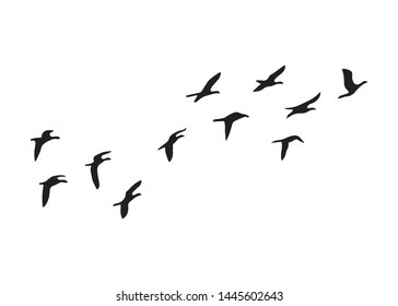 Flock of Birds, Black and White Vector Design