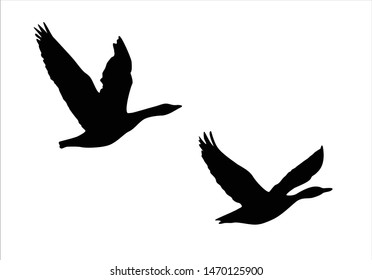 Flock of Birds, Black and White Vector Design