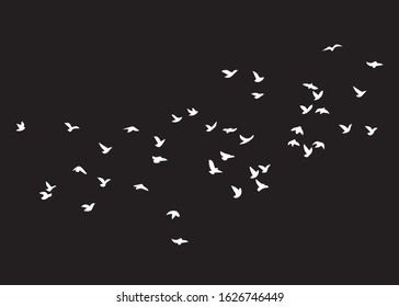 Flock of Birds, Black and White Vector Design