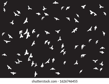 Flock of Birds, Black and White Vector Design