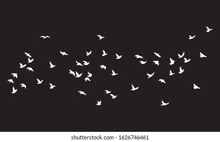Flock of Birds, Black and White Vector Design