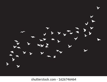 Flock of Birds, Black and White Vector Design