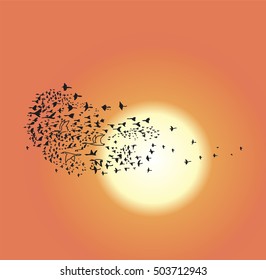 flock of birds different sizes that fly south background of sun big