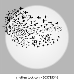 flock of birds different sizes that fly south background of moon