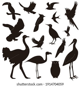 Flock von Vögeln verschiedener Arten, einzeln auf weißem Hintergrund. Silhouetten von Vögeln in Flug, Krähe, Kolibris, Papagei, Eule, Adler, Storch. Vektorgrafik