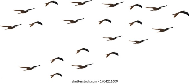 A flock of birds flies south