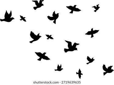 Bando de aves em voo