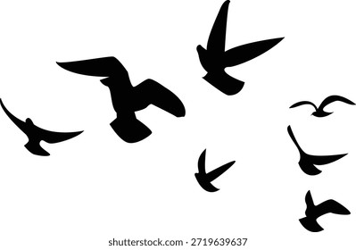 Bando de aves em voo