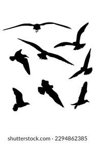 Flock of birds in flight. Isolated silhouette on white background