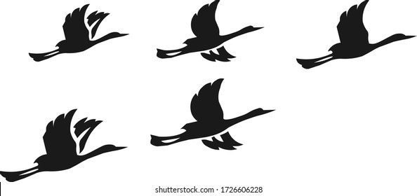 divergent birds clipart