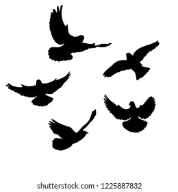 Flock Birds Flying Black Silhouette Stock Vector (Royalty Free ...