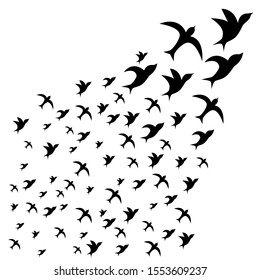 A flock of birds. flying black swallows on a white background. Tattoo, print on t-shirt, autumn, spring, sky.