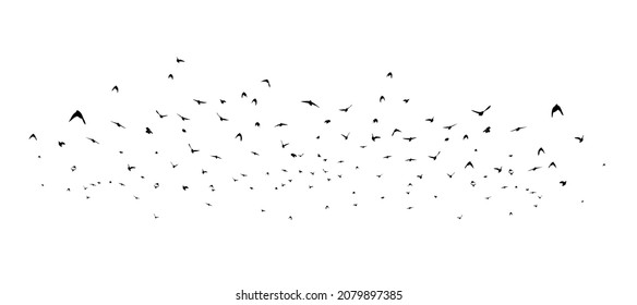 a flock of birds flying off. black and white vector illustration