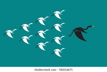 Flock of birds flying on blue background, Leadership and difference concept. Animal, Heron.