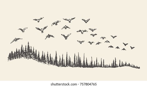 A flock of birds flying over a fir forest, vector illustration, hand drawn, sketch