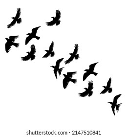 flock of birds flying silhouette, on white background, isolated, vector