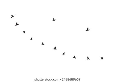 Flock of birds flying silhouette vector icon