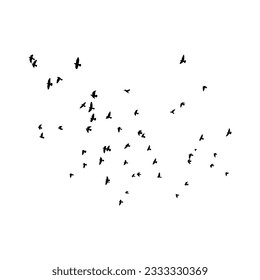 Flock of birds flying vector