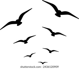 flock of birds flying vector design
