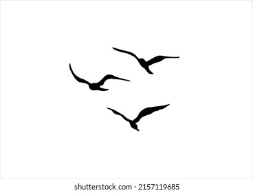 FLOCK birds hand drawn design  vector