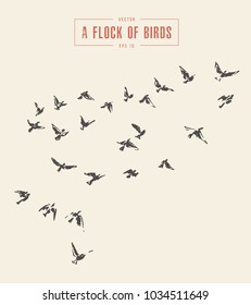 A flock of birds, hand drawn vector illustration, sketch